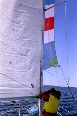 Yanmarin 1GM